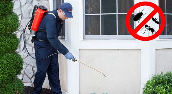 Küçükçekmece Dezenfeksiyon böcek ilaçlama ve haşere kontrolü — ilaclama-tr.com
